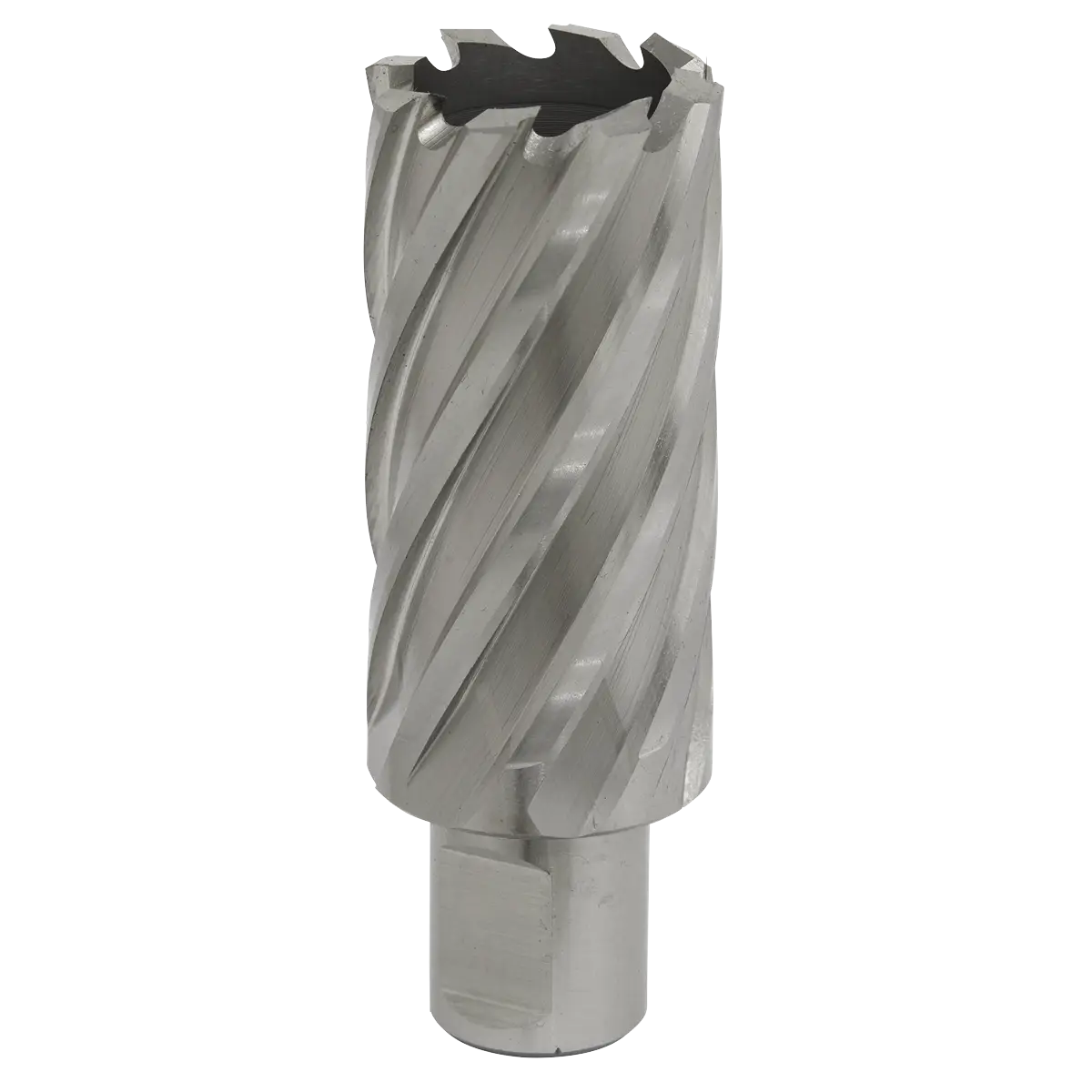 Worksafe® 30mm HSS Mag Drill Bit Cut Depth 50mm [RBHSS30L]