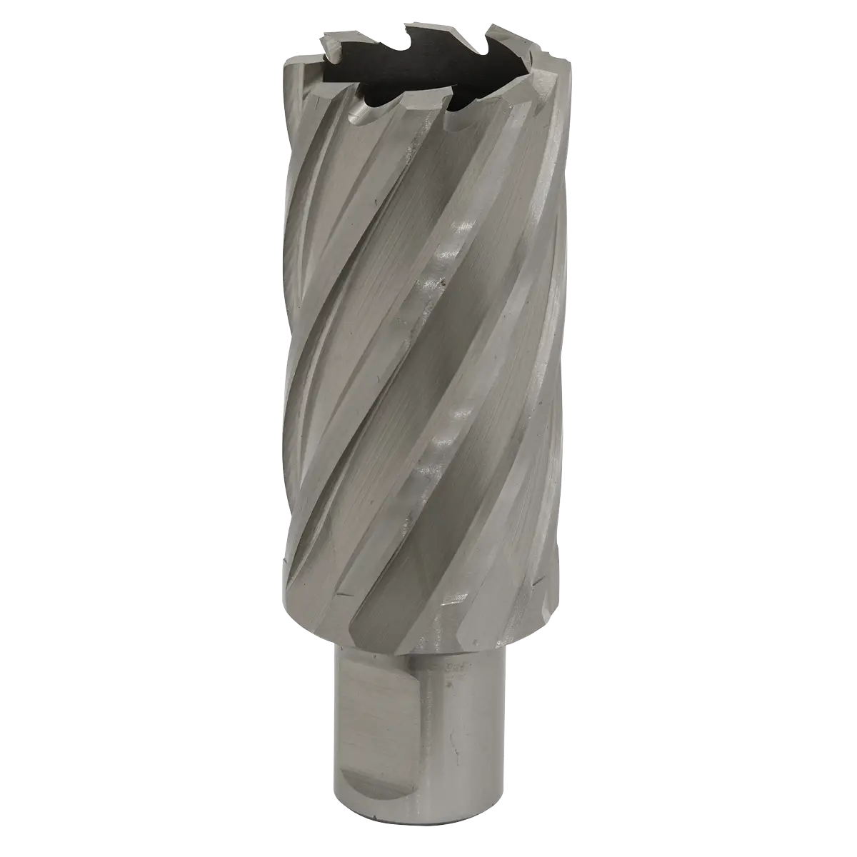 Worksafe® 31mm HSS Mag Drill Bit Cut Depth 50mm [RBHSS31L]