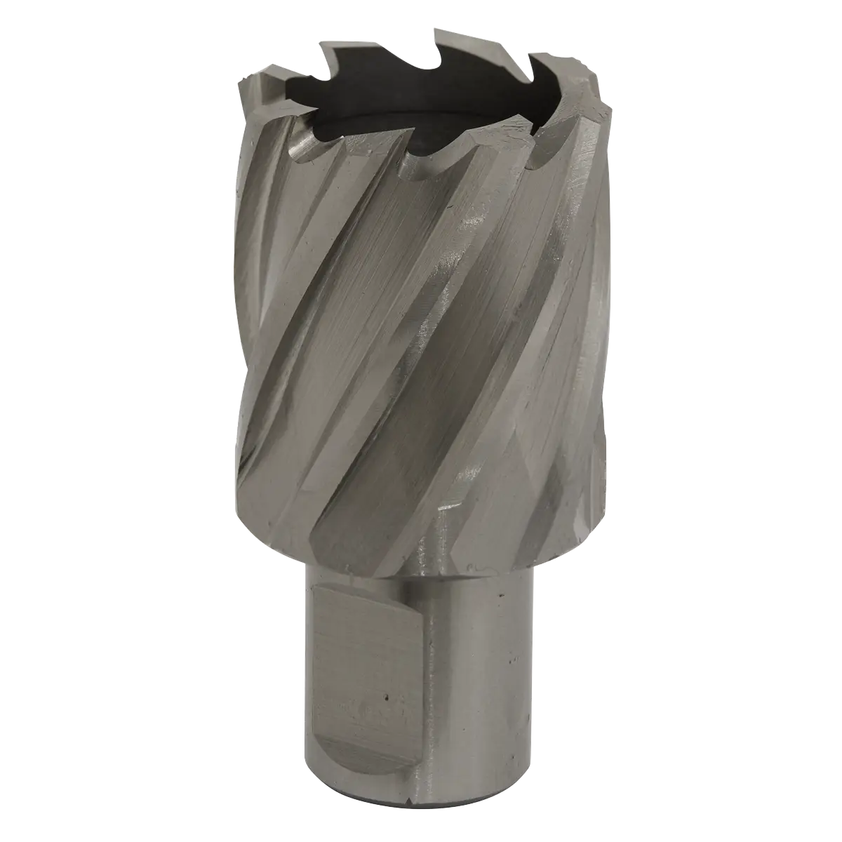 Worksafe® 32mm HSS Mag Drill Bit Cut Depth 25mm [RBHSS32S]