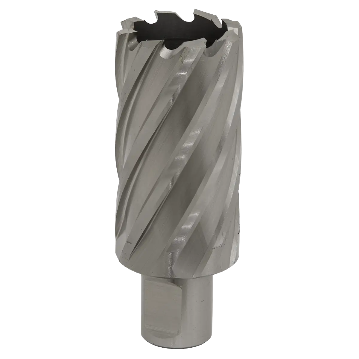 Worksafe® 33mm HSS Mag Drill Bit Cut Depth 50mm [RBHSS33L]