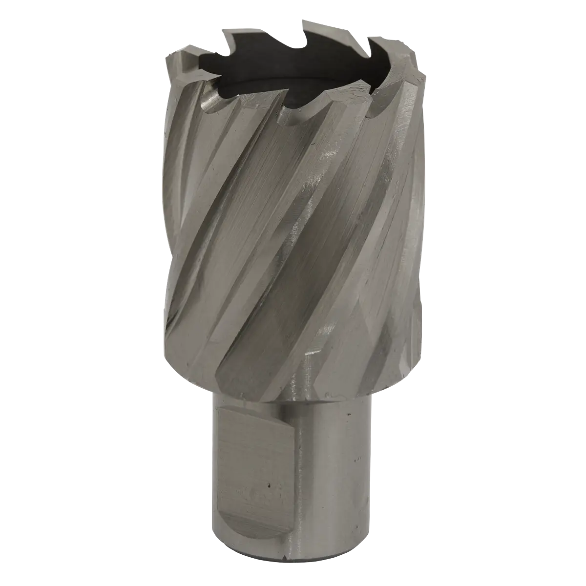 Worksafe® 33mm HSS Mag Drill Bit Cut Depth 25mm [RBHSS33S]