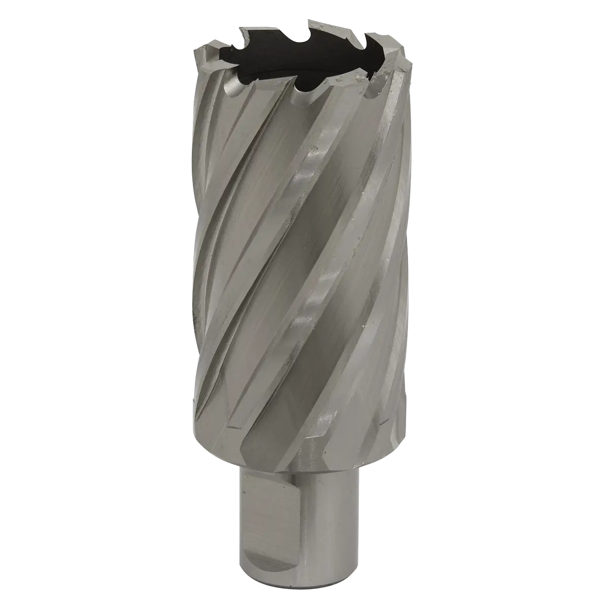 Worksafe® 34mm HSS Mag Drill Bit Cut Depth 50mm [RBHSS34L]