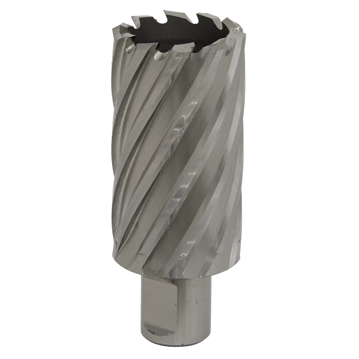 Worksafe® 35mm HSS Mag Drill Bit Cut Depth 50mm [RBHSS35L]