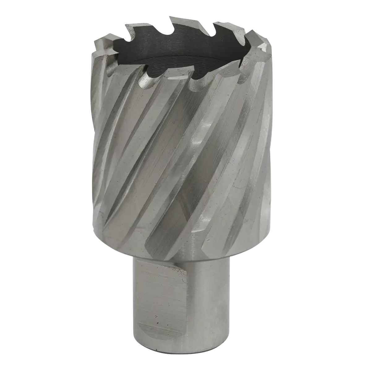 Worksafe® 35mm HSS Mag Drill Bit Cut Depth 25mm [RBHSS35S]