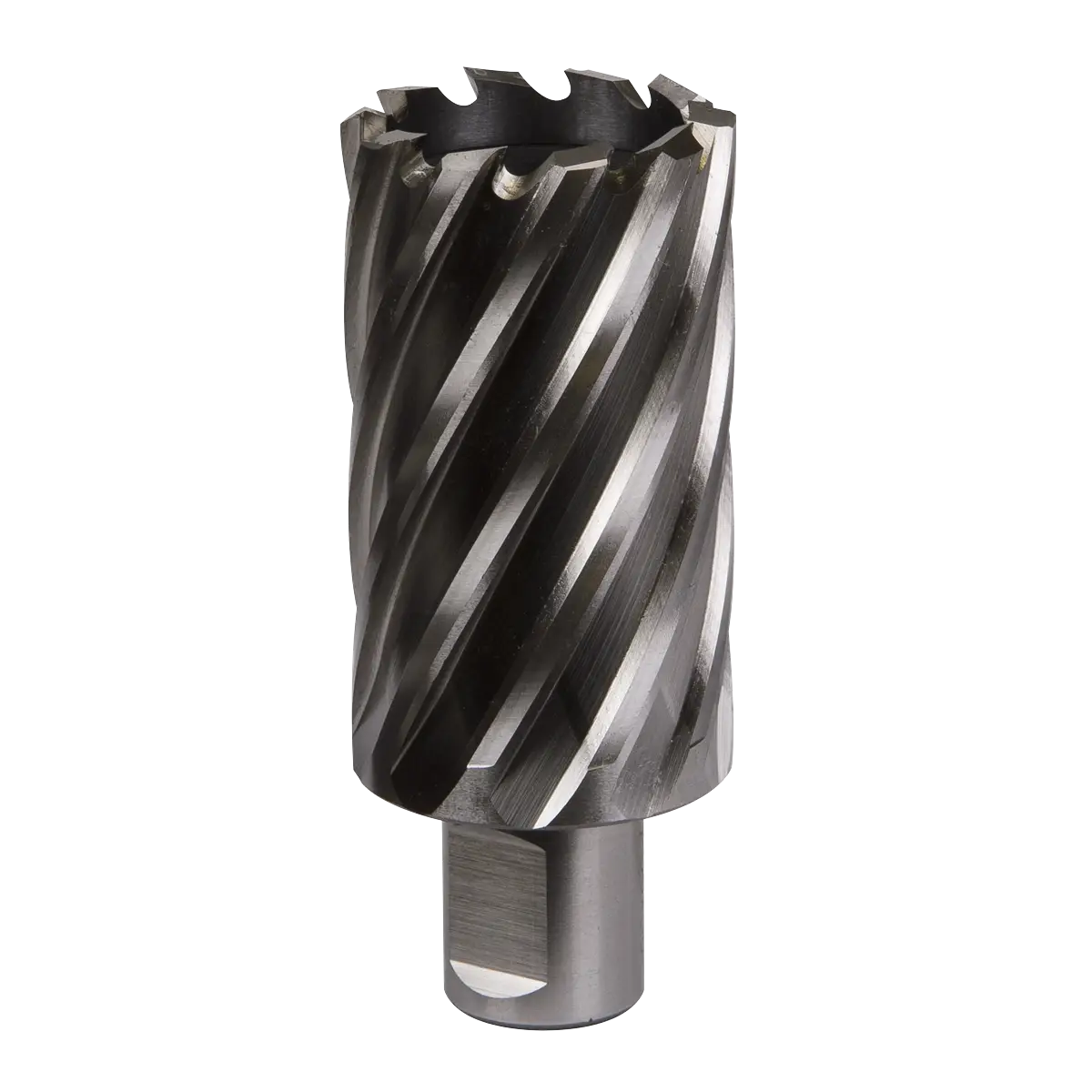 Worksafe® 36mm HSS Mag Drill Bit Cut Depth 50mm [RBHSS36L]