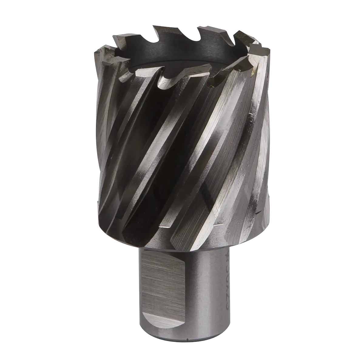 Worksafe® 36mm HSS Mag Drill Bit Cut Depth 25mm [RBHSS36S]