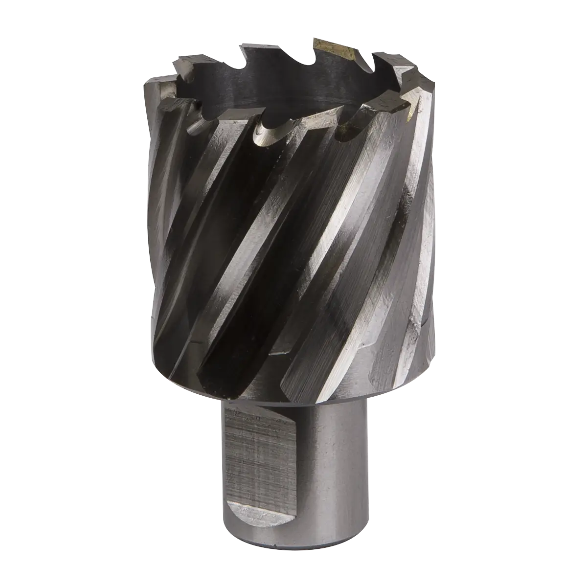 Worksafe® 37mm HSS Mag Drill Bit Cut Depth 25mm [RBHSS37S]