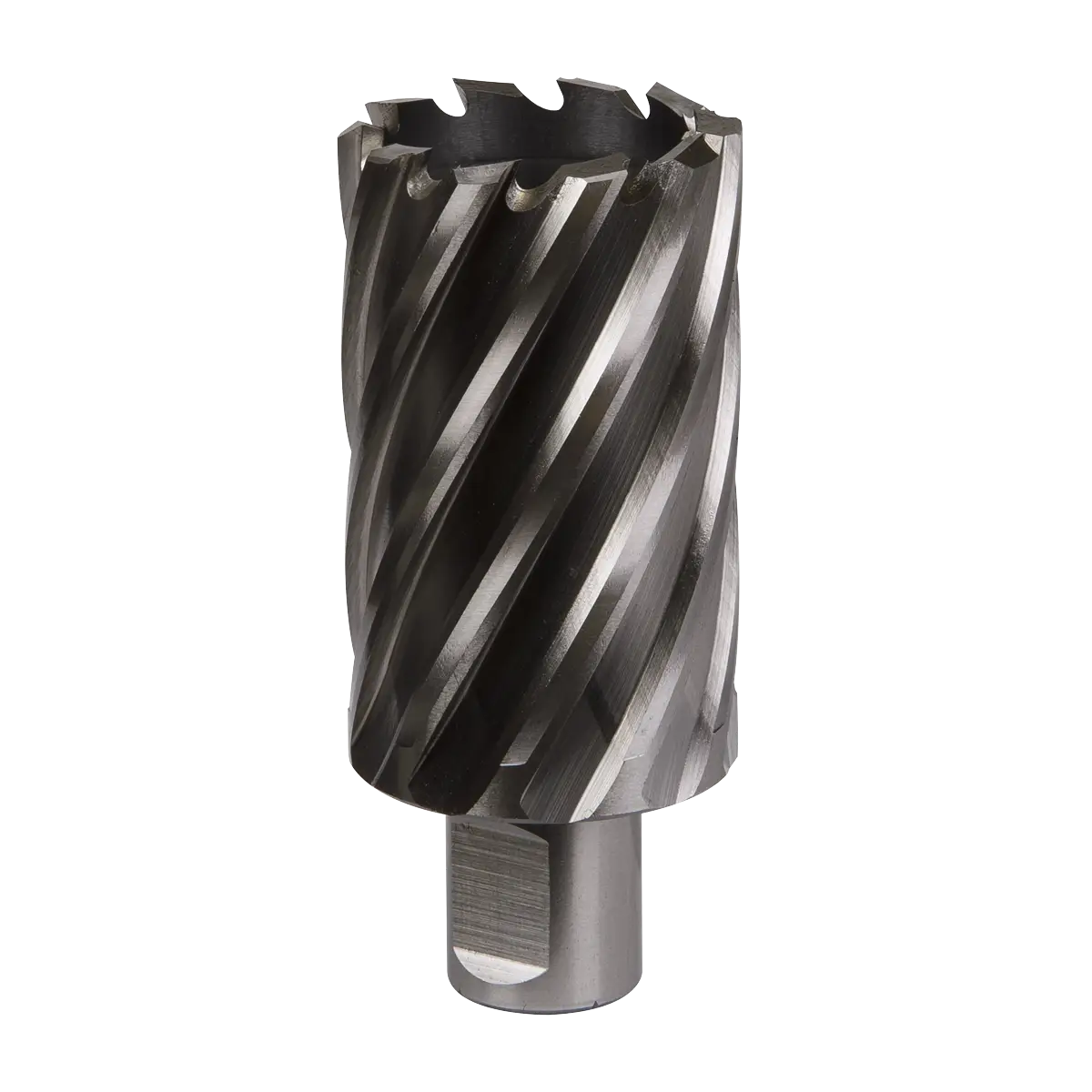 Worksafe® 38mm HSS Mag Drill Bit Cut Depth 50mm [RBHSS38L]
