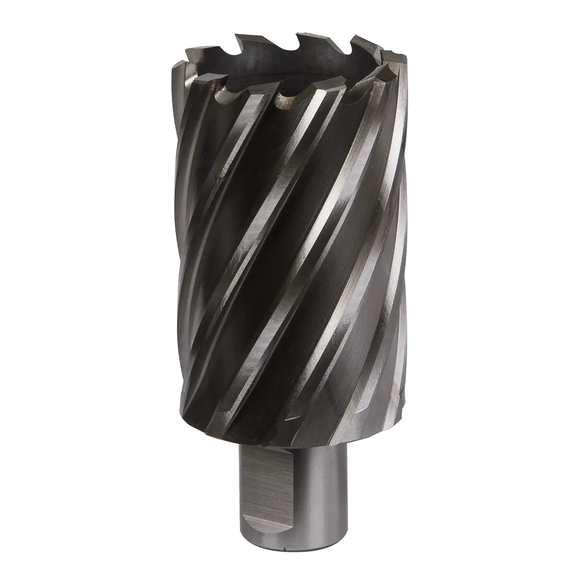 Worksafe® 40mm HSS Mag Drill Bit Cut Depth 50mm [RBHSS40L]