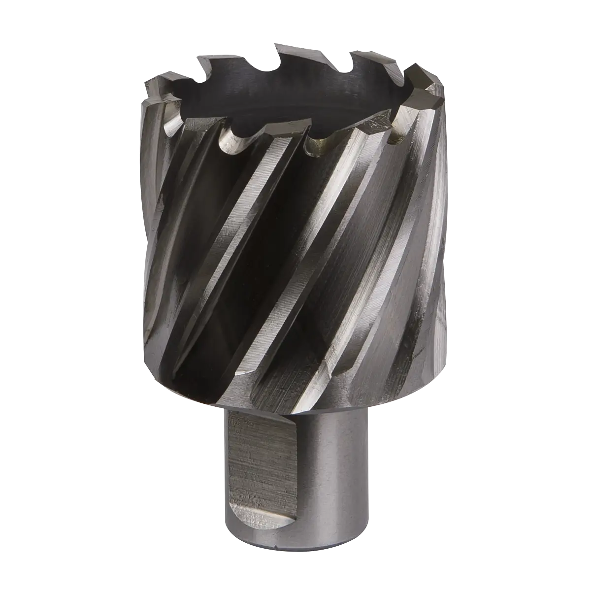 Worksafe® 40mm HSS Mag Drill Bit Cut Depth 25mm [RBHSS40S]