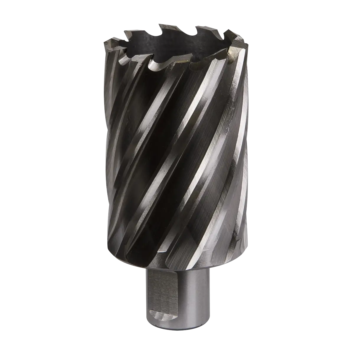 Worksafe® 42mm HSS Mag Drill Bit Cut Depth 50mm [RBHSS42L]