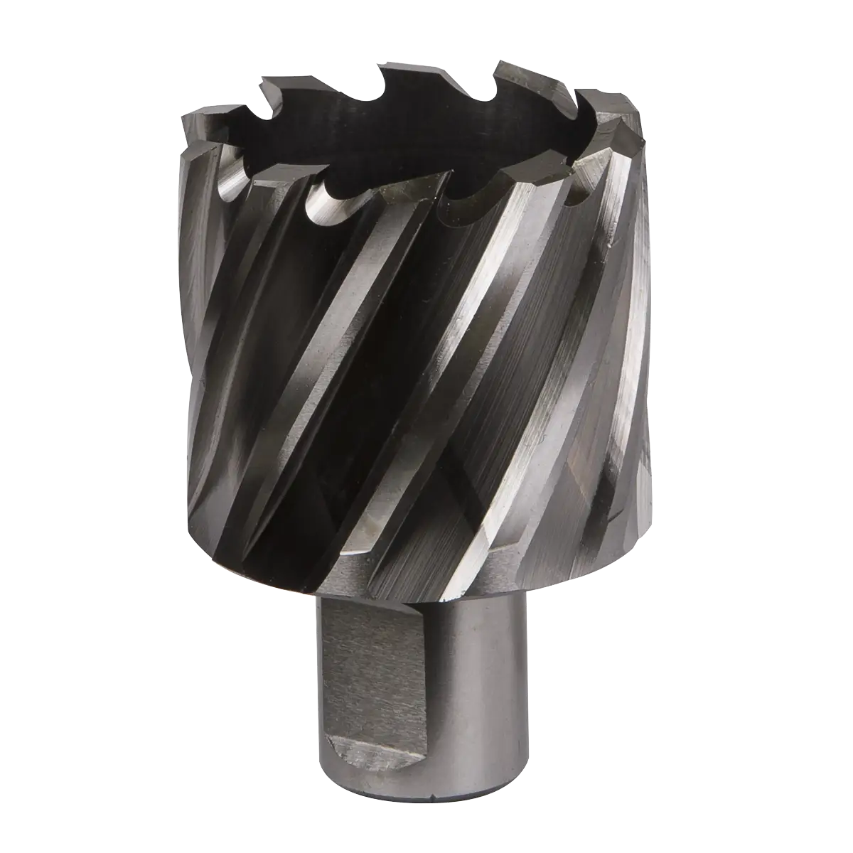 Worksafe® 42mm HSS Mag Drill Bit Cut Depth 25mm [RBHSS42S]