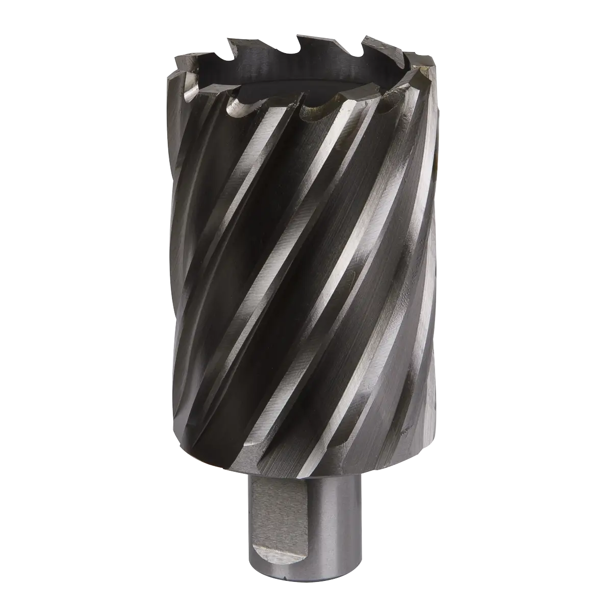 Worksafe® 44mm HSS Mag Drill Bit Cut Depth 50mm [RBHSS44L]
