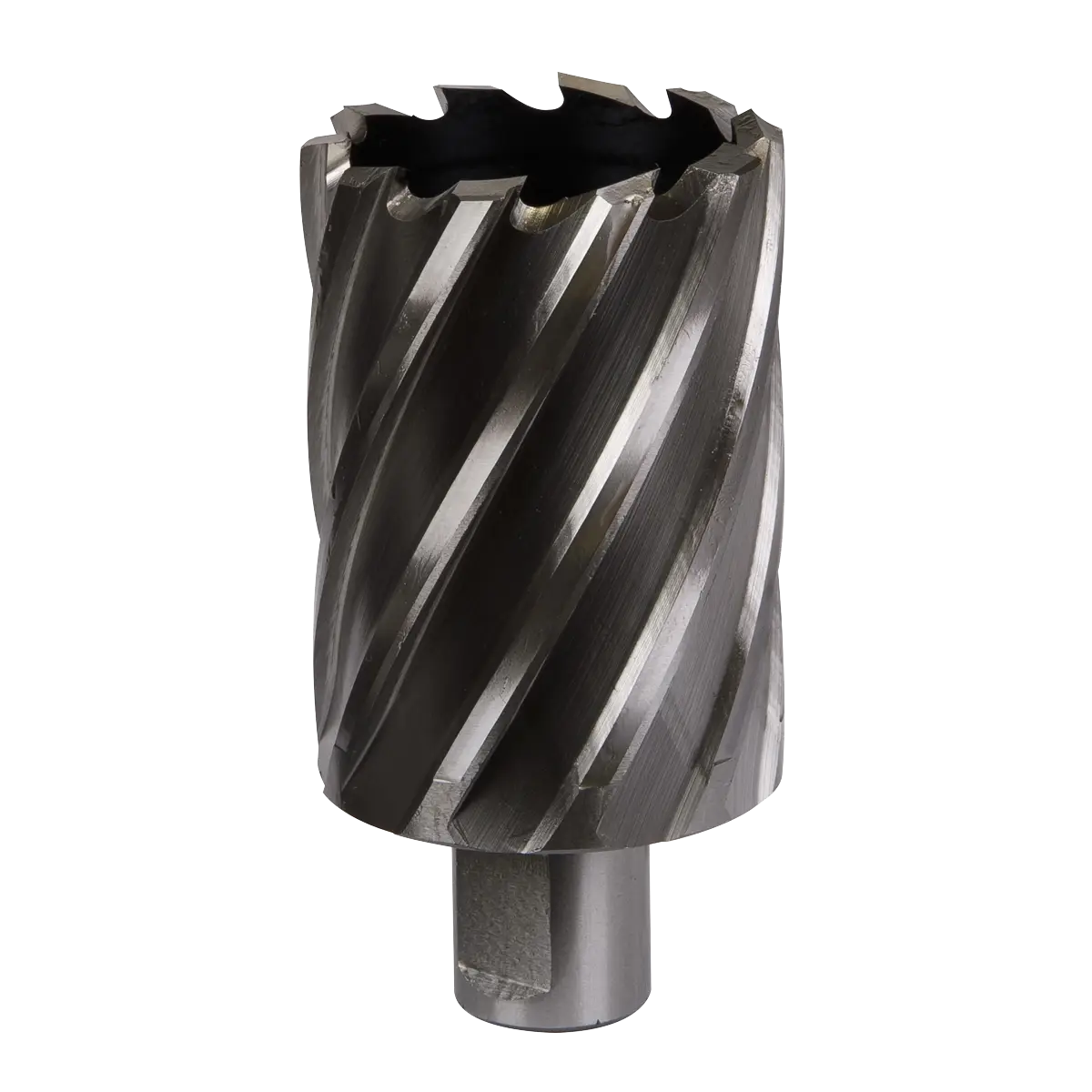 Worksafe® 45mm HSS Mag Drill Bit Cut Depth 50mm [RBHSS45L]