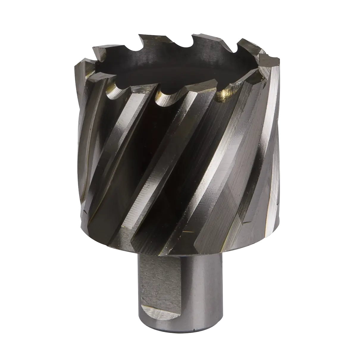 Worksafe® 45mm HSS Mag Drill Bit Cut Depth 25mm [RBHSS45S]