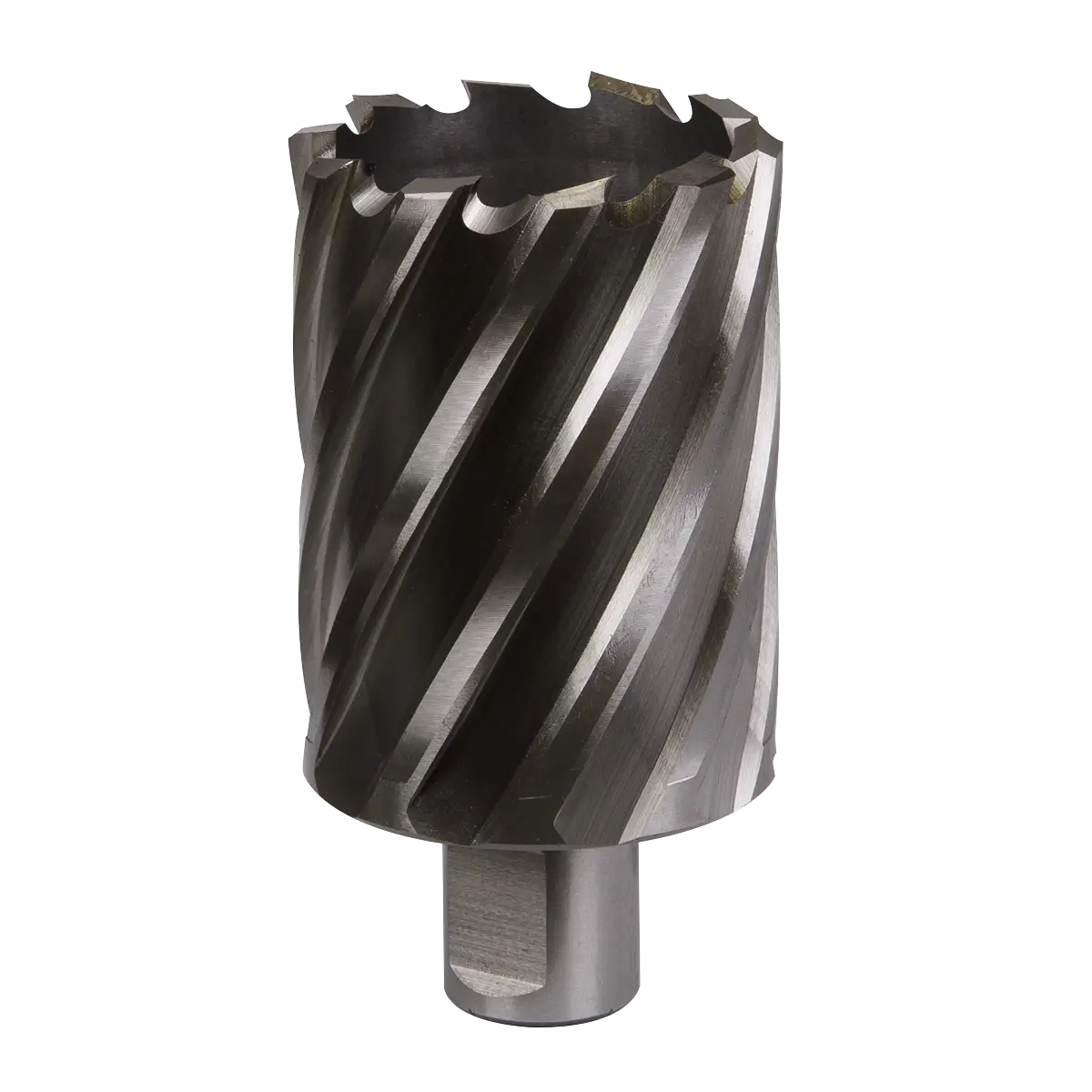 Worksafe® 46mm HSS Mag Drill Bit Cut Depth 50mm [RBHSS46L]