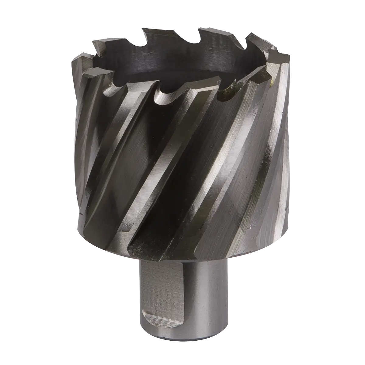 Worksafe® 46mm HSS Mag Drill Bit Cut Depth 25mm [RBHSS46S]