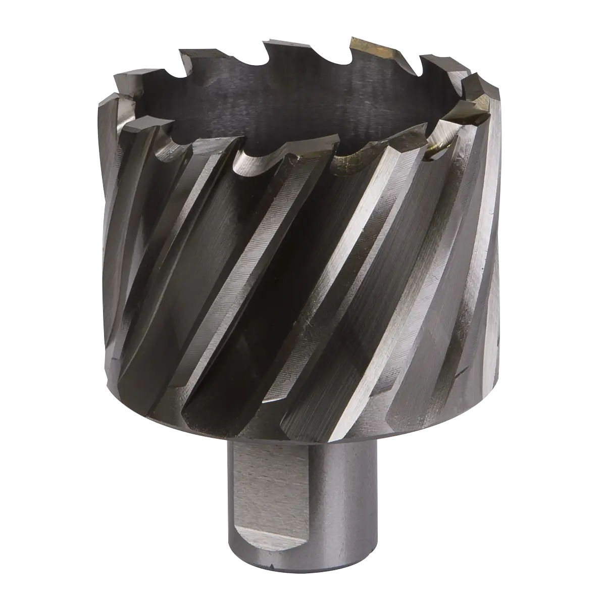 Worksafe® 50mm HSS Mag Drill Bit Cut Depth 25mm [RBHSS50S]