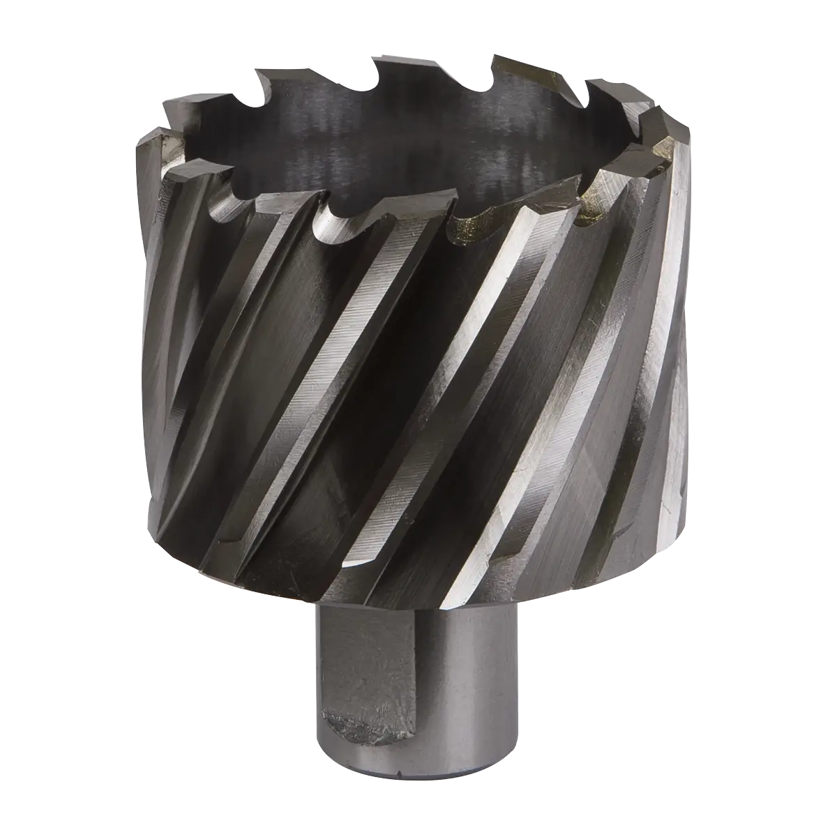 Worksafe® 51mm HSS Mag Drill Bit Cut Depth 25mm [RBHSS51S]